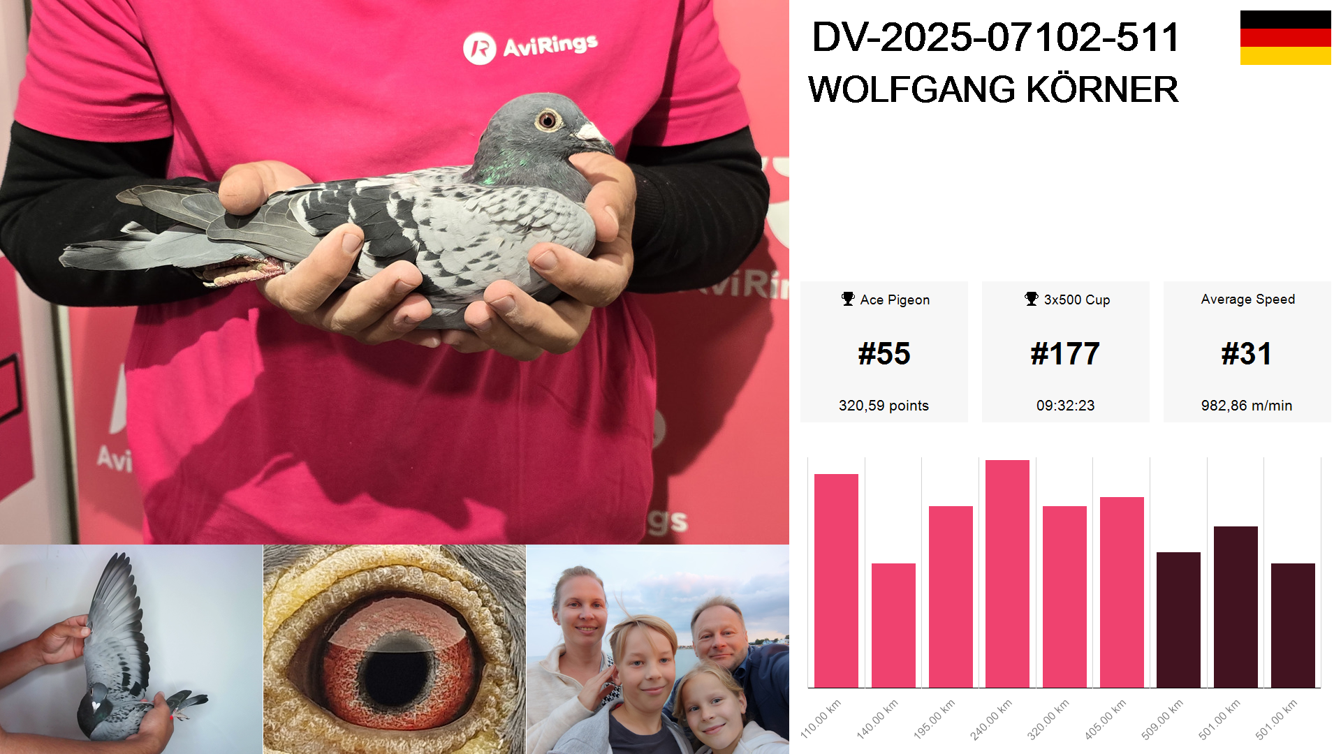 Pigeon summary image