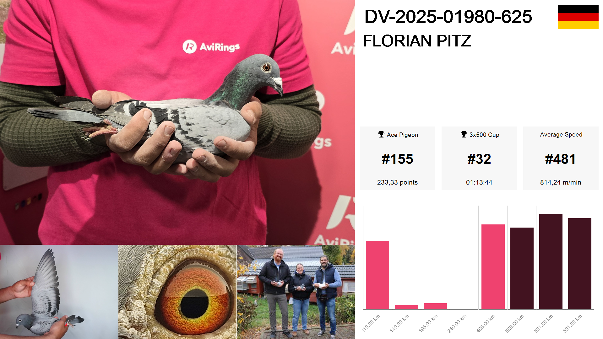 Pigeon summary image