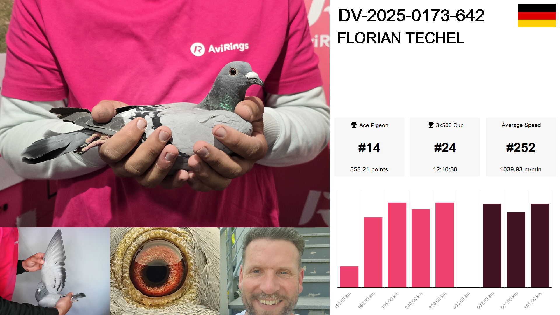 Pigeon summary image